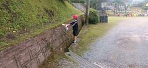 Img_20250526_080858