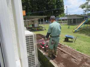 Img_6926 Img_6926