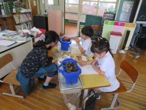 Img_6938 Img_6938