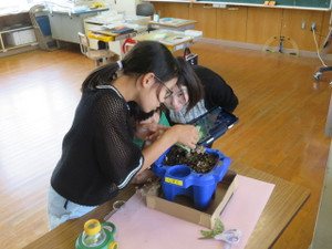 Img_6947 Img_6947