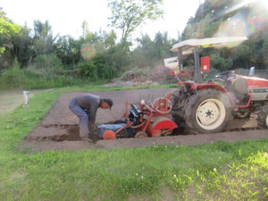 Img_6980 Img_6980