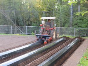 Img_6982 Img_6982