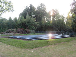 Img_6983 Img_6983