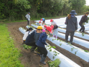 Img_6998 Img_6998
