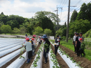 Img_7009 Img_7009