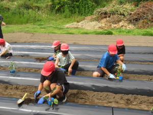 Img_7038 Img_7038