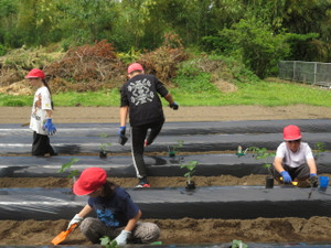 Img_7040 Img_7040