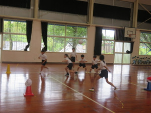 Img_7053 Img_7053