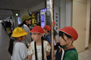 Dsc_0802 Dsc_0802