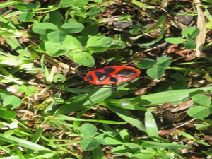 Img_7089 Img_7089