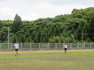 Img_7097 Img_7097
