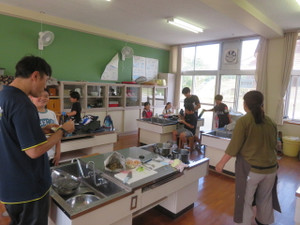 Img_7111 Img_7111