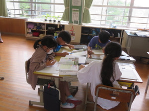 Img_7135 Img_7135