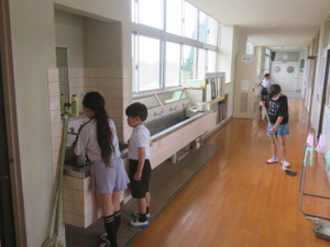 Img_7158 Img_7158