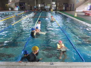 Img_7223 Img_7223