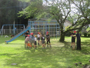 Img_7244 Img_7244