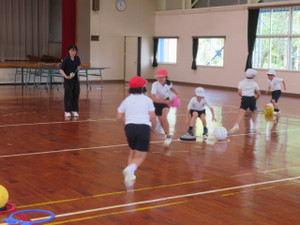 Img_7245 Img_7245