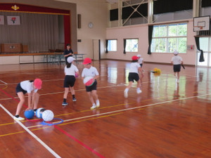 Img_7248 Img_7248