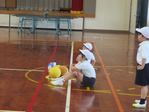 Img_7253 Img_7253