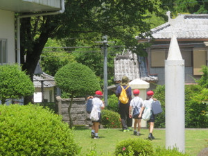 Img_7262 Img_7262