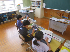 Img_7264 Img_7264