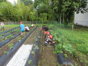 Img_7374_2 Img_7374_2