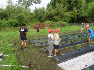 Img_7376 Img_7376