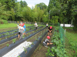 Img_7377 Img_7377