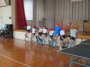Img_7384 Img_7384