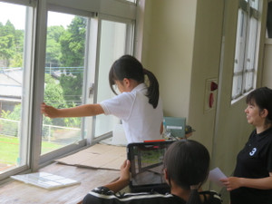 Img_7398 Img_7398
