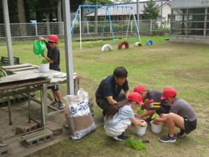 Img_7415 Img_7415