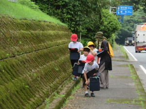 Img_7421 Img_7421