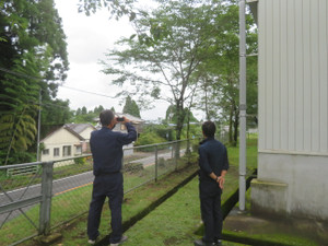 Img_7767 Img_7767