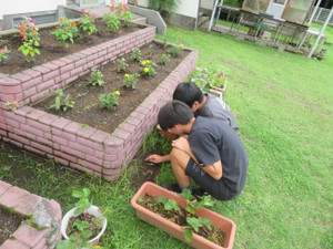 Img_7773 Img_7773
