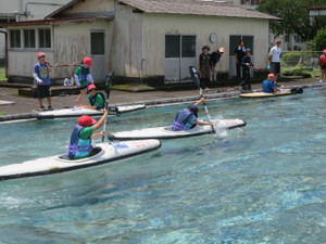 Img_7800 Img_7800