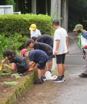 Img_8008 Img_8008