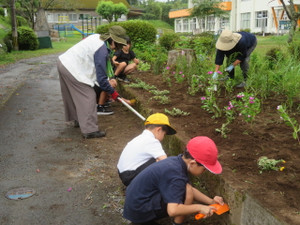 Img_8011 Img_8011