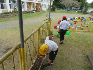 Img_8041 Img_8041