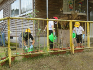 Img_8043 Img_8043