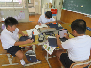 Img_8087 Img_8087