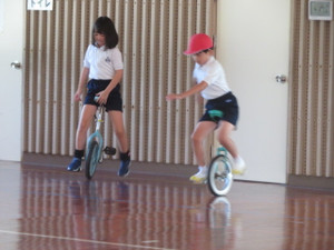 Img_8110 Img_8110