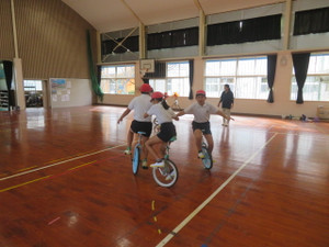 Img_8163 Img_8163