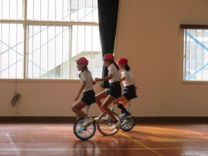 Img_8165 Img_8165