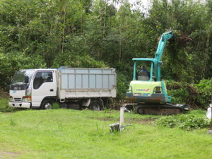 Img_8178 Img_8178