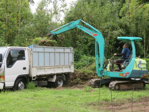 Img_8179 Img_8179