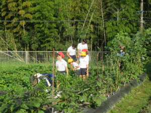 Img_8247 Img_8247