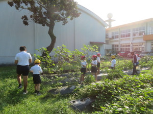 Img_8249 Img_8249