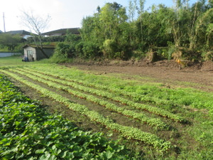 Img_8251 Img_8251