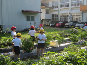 Img_8252 Img_8252