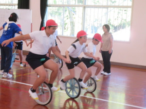 Img_8257 Img_8257
